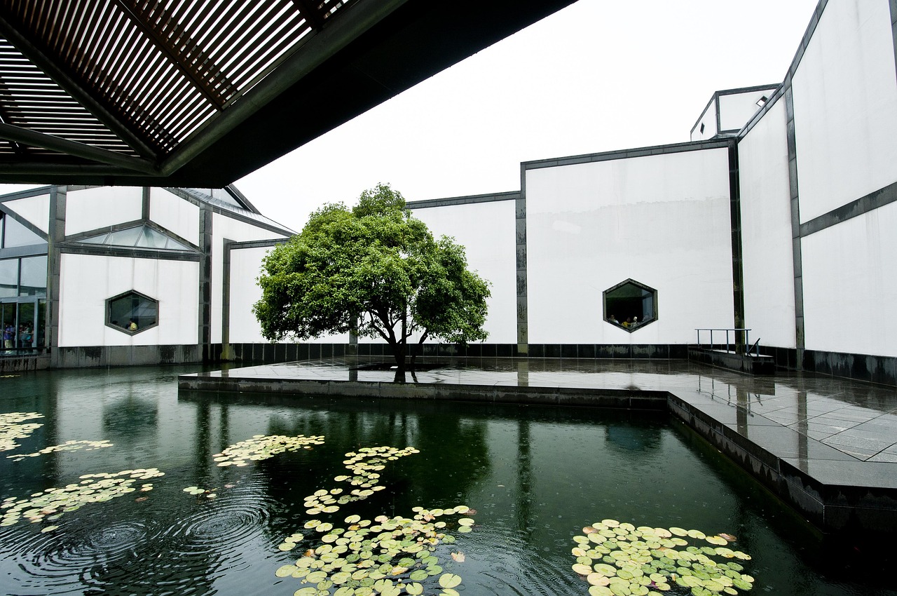 suzhou museum  pool  rainwater  nature  design  window  tree  water lotus