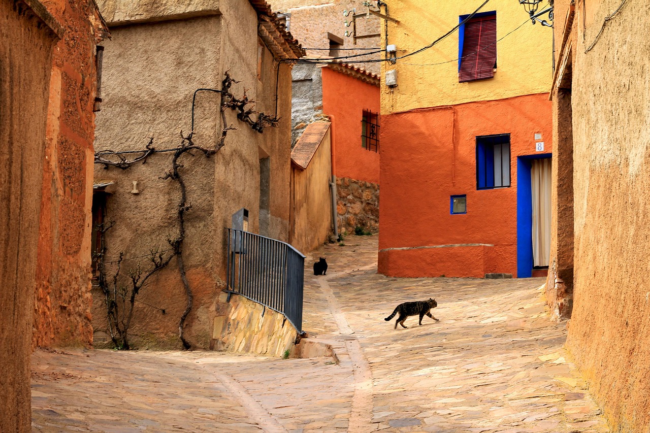 street  cat  rural  pet  architecture  city  housing  houses  old  facade  window  townhouse  animal  home  apartment  community  stone  rustic