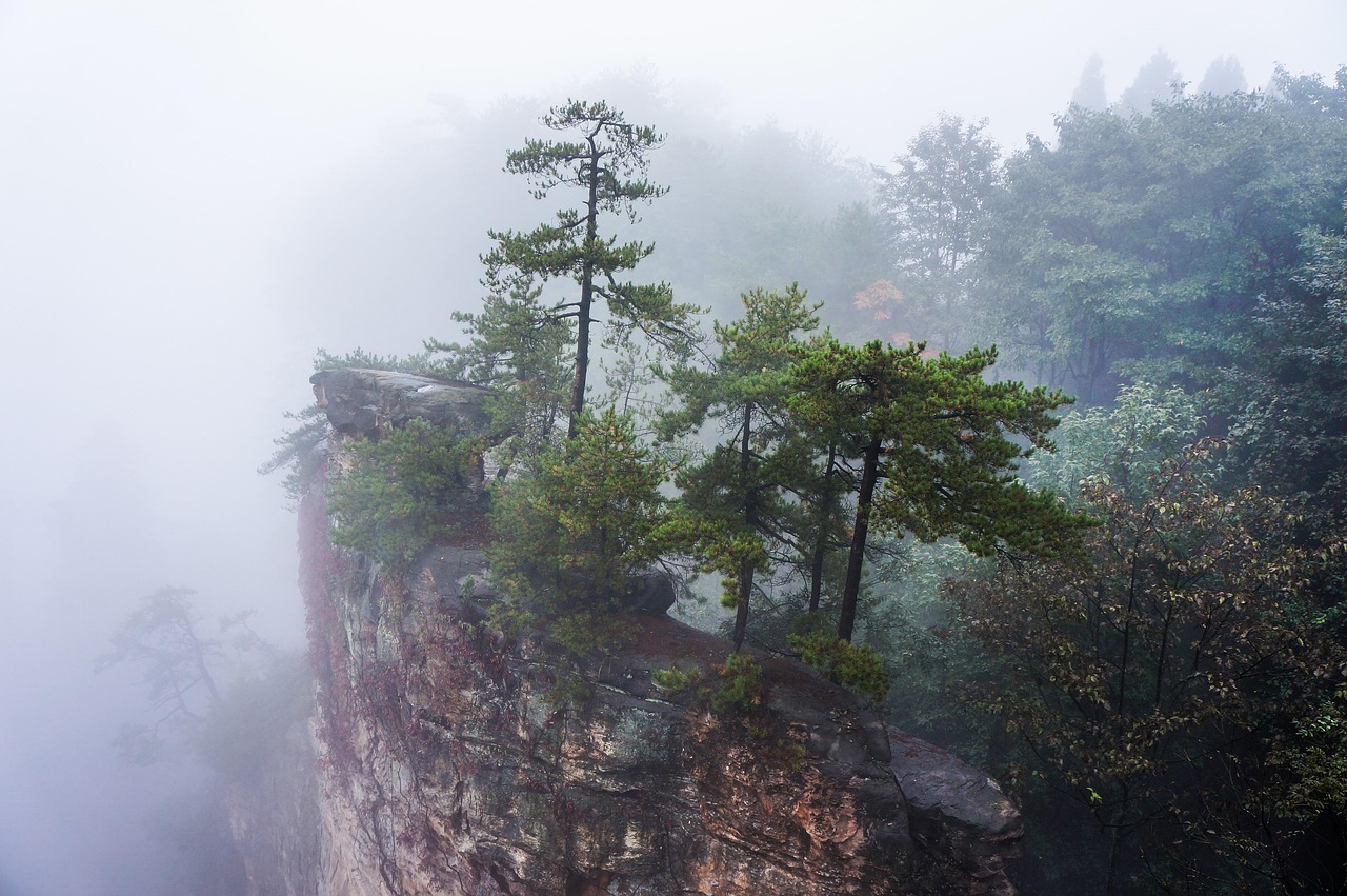 china zhangjiajie national park fog china china china china china